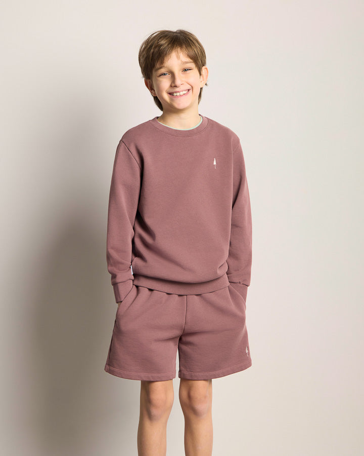 NIKIN TreeSweater Kids Pullover Astrodust – Bio-Baumwolle