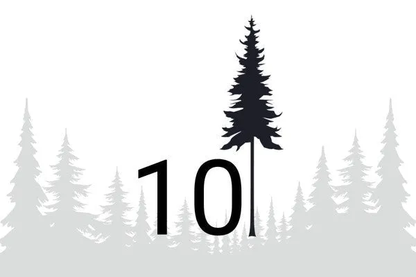 NIKIN Plant 10 Trees Geschenkkarte Bäume pflanzen
