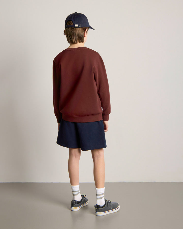 NIKIN TreeSweater Kids Kinderpullover Chestnut braun Bio