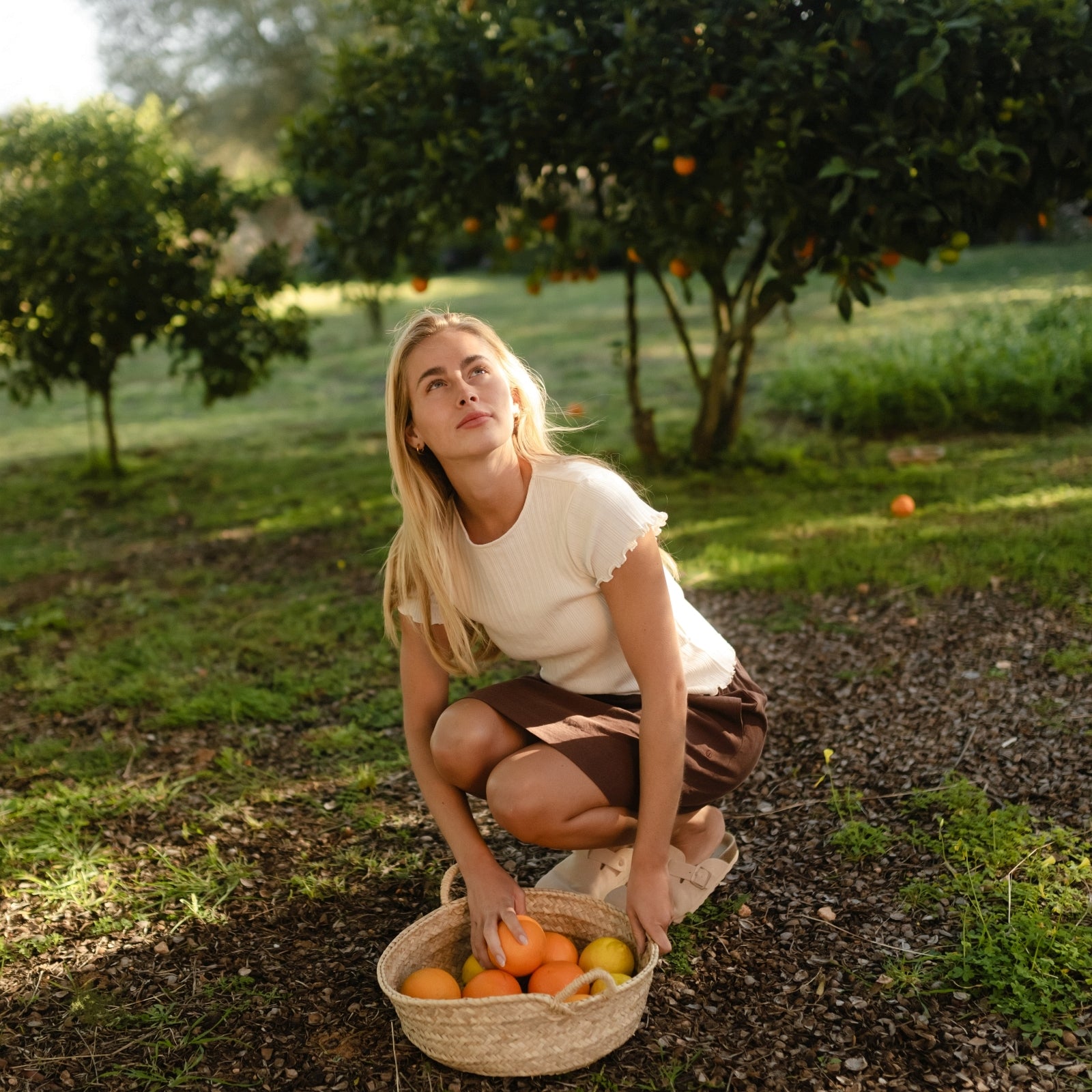 NORDLICHT Maja T-Shirt Natur Crop Bio-Baumwolle