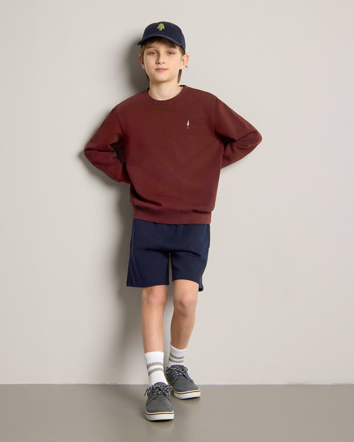 NIKIN TreeSweater Kids Kinderpullover Chestnut braun Bio