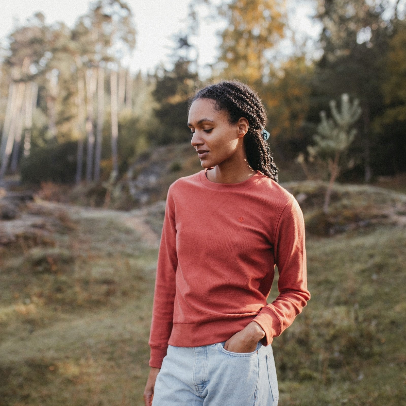 NORDLICHT Sanna Pullover Bio-Baumwolle gemustert