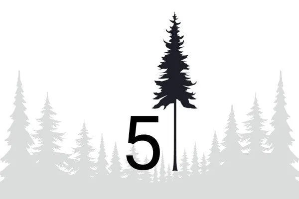 NIKIN Plant 5 trees Geschenkkarte Baumpflanzung