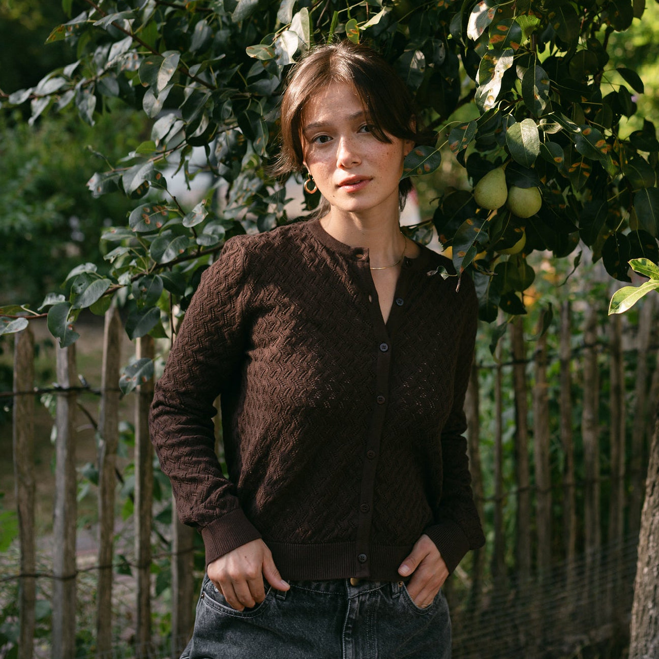 Nordlicht Rieke Pointelle Strickjacke Braun Bio-Baumwolle