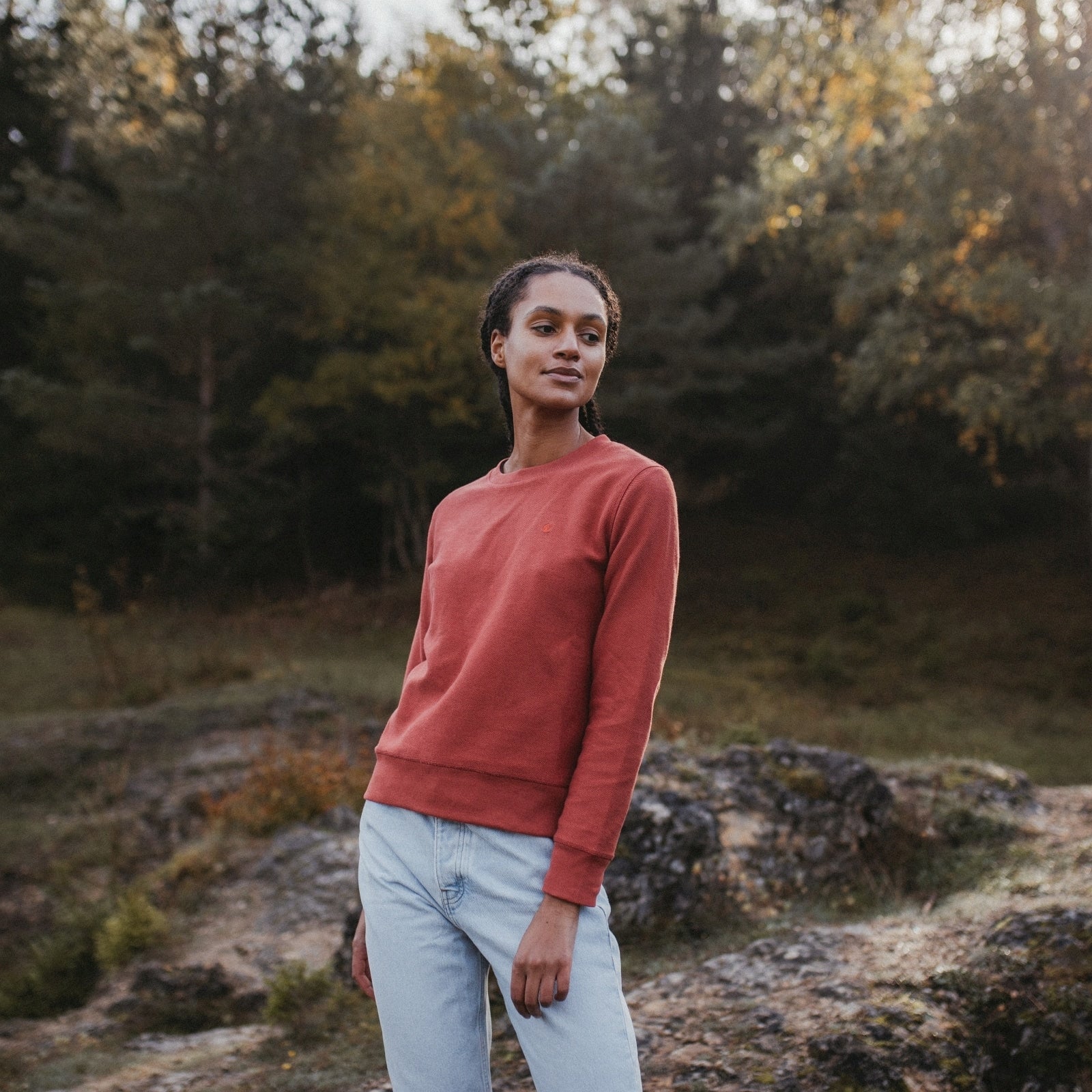 NORDLICHT Sanna Pullover Bio-Baumwolle gemustert