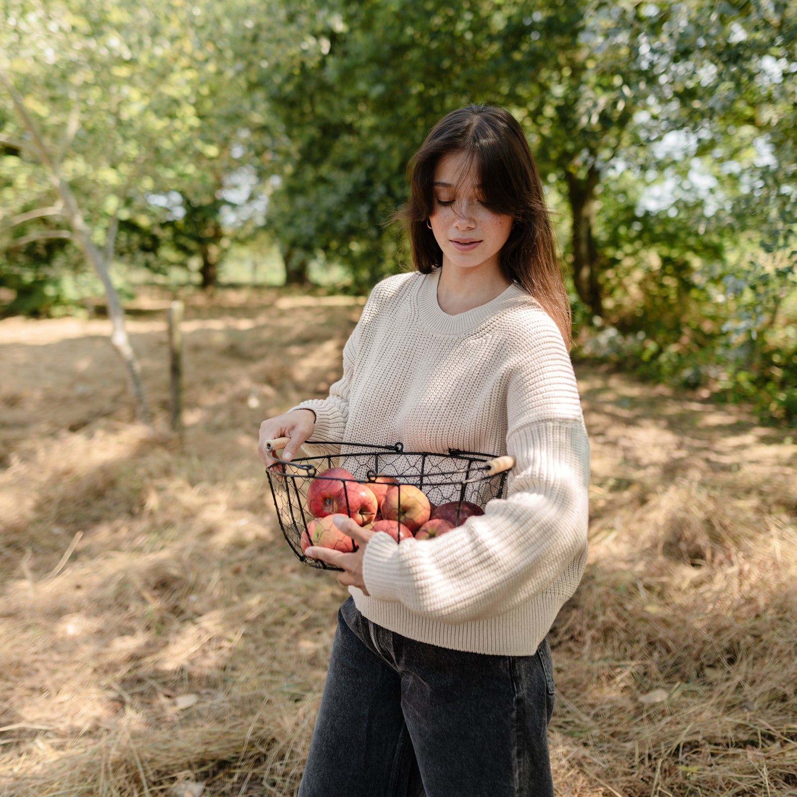 NORDLICHT Mara Grobstrick Pullover sand Bio-Baumwolle