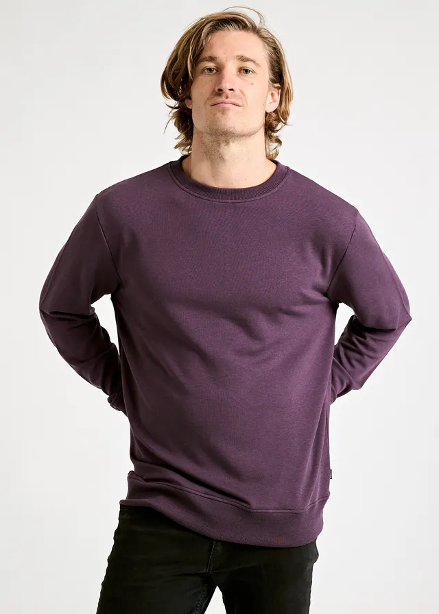 Wijld Sweater Till Herren Sweater Purple Locker